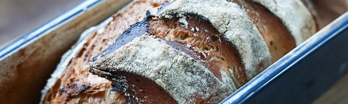 Backen | Friss-dich-dumm-Brot