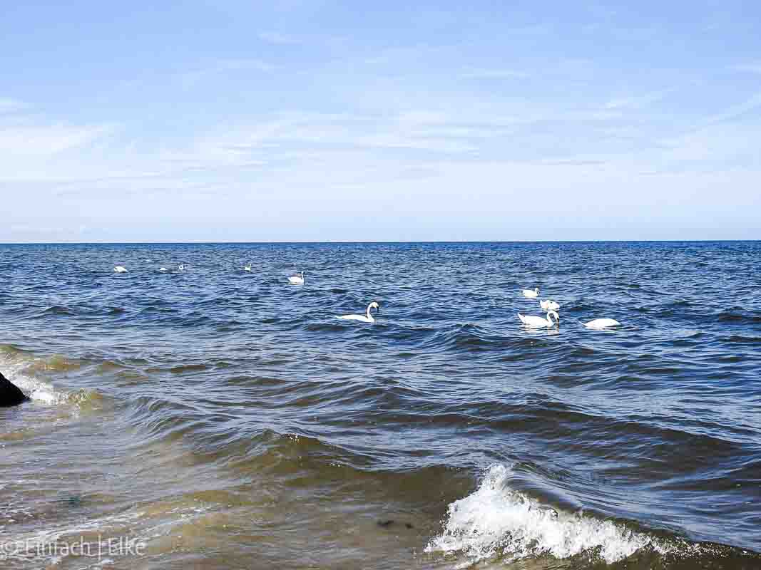 Riesenrad-Usedom-einfachelke.de