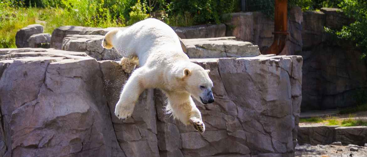 OnTour | Hannover Zoo