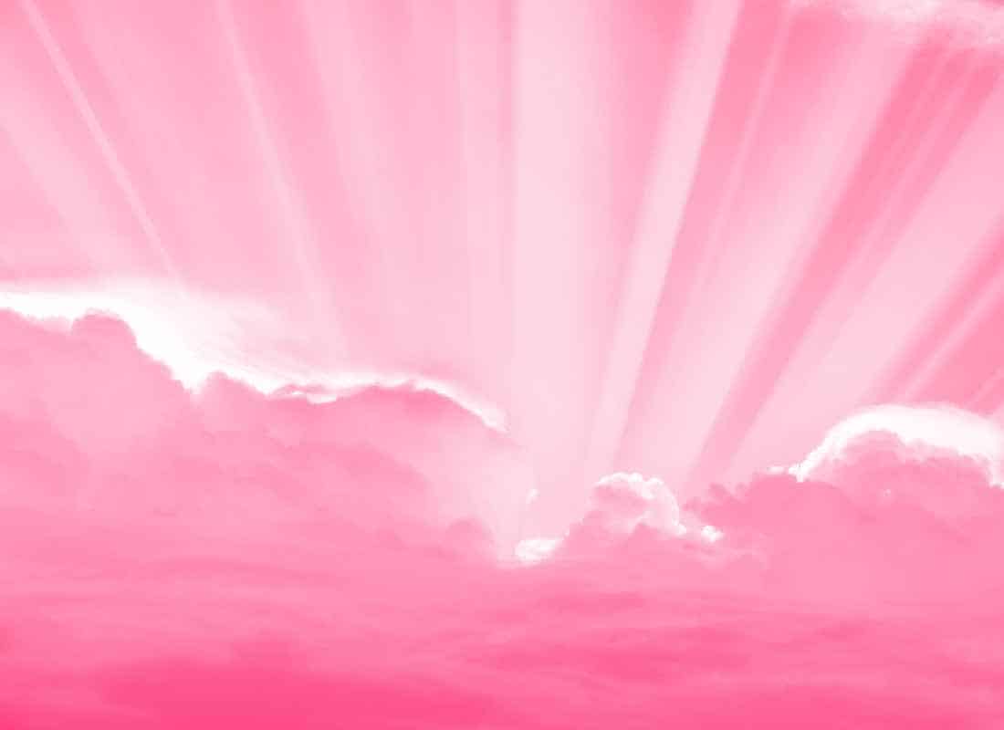 Rosa-Einfachelke.de