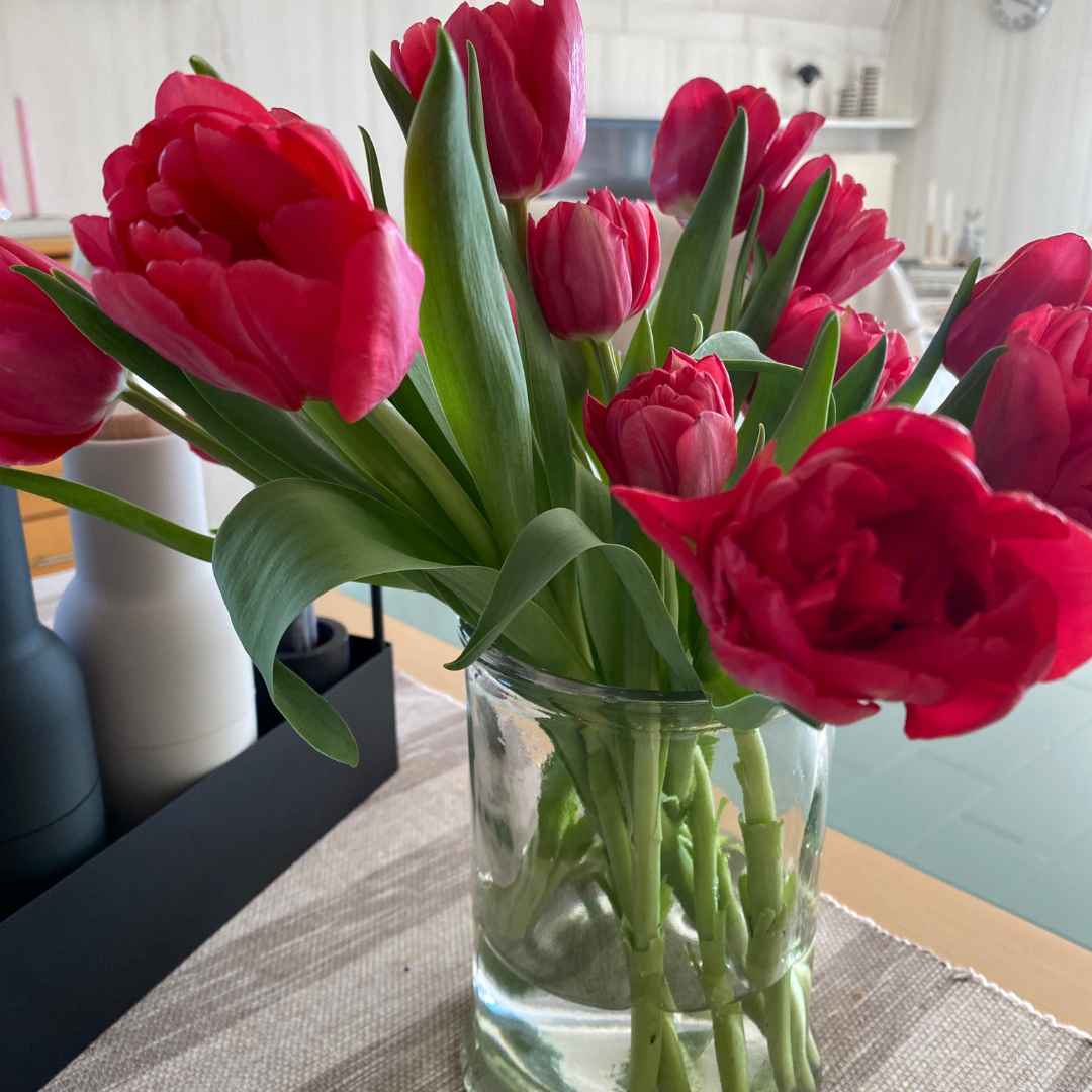 Tulpen-einfachelke.de