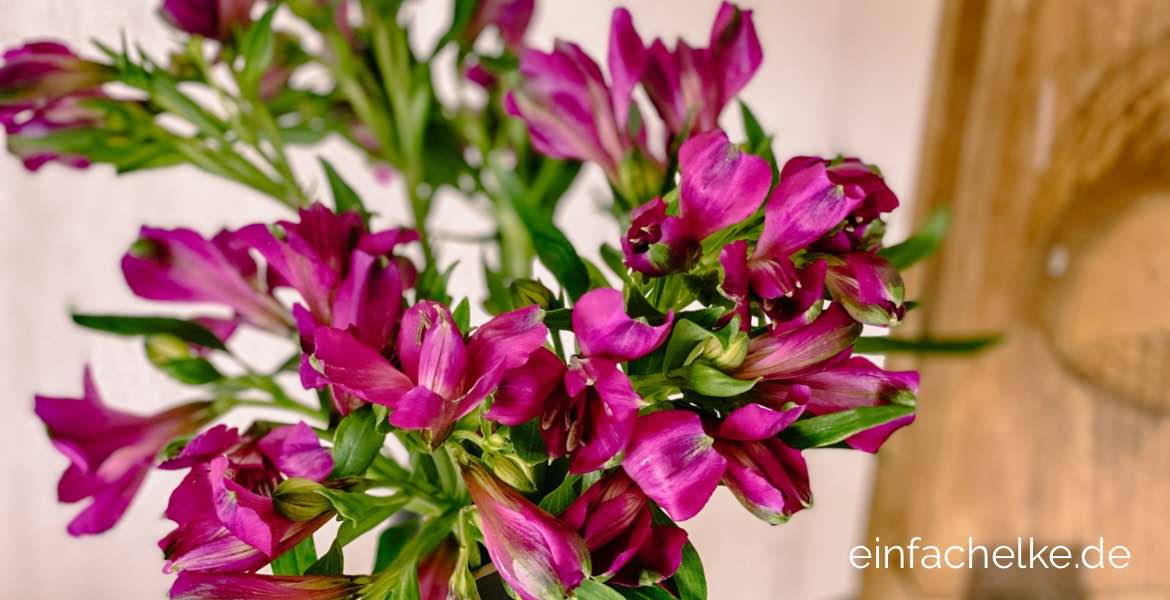 Friday-Flowerday-einfachelke.de